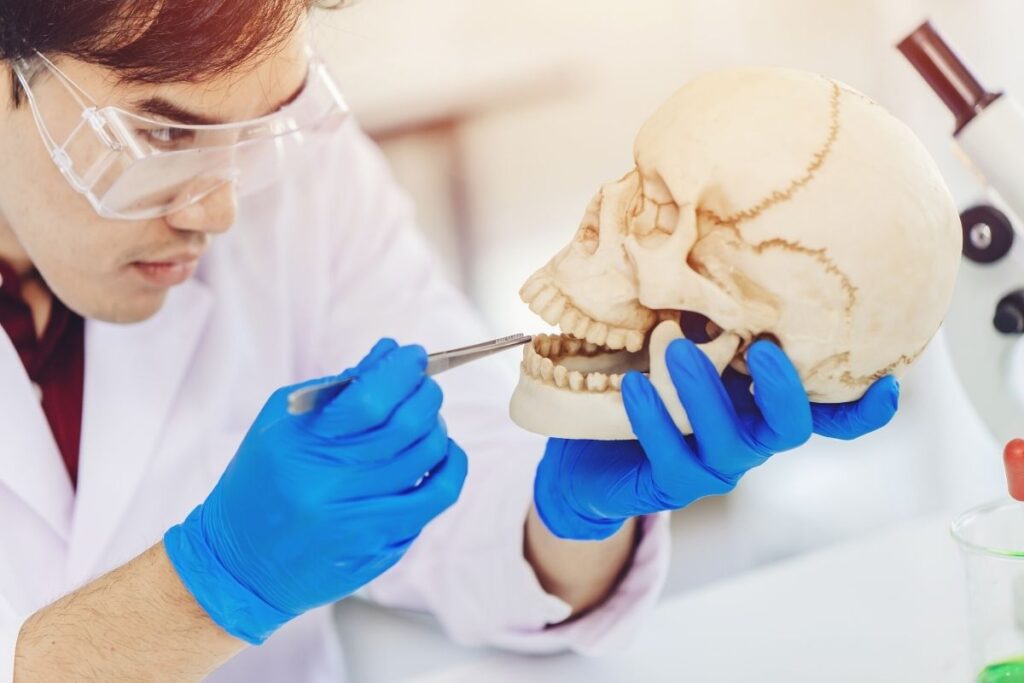 %key odontología legal odontología legal