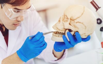 Salidas laborales de la maestría en Odontología Legal y Forense