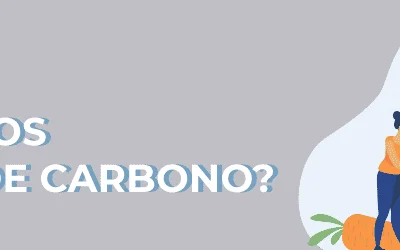 ¿Qué son los Hidratos de Carbono?