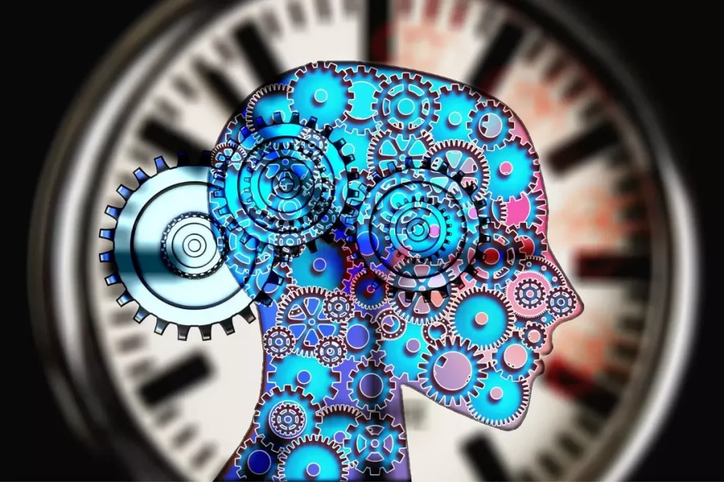 %key psicologia psicologia udl