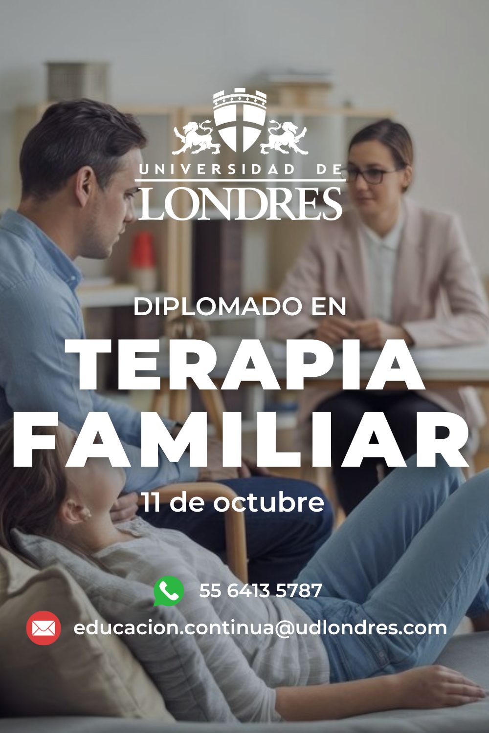 Terapia Familiar udl