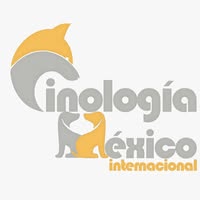 485429482_9634558783269730_4673713208390445548_n %key Curso