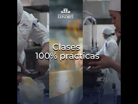 Lic. en Gastronomia UDLondres